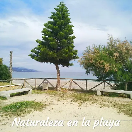 Primera Linea De Playa